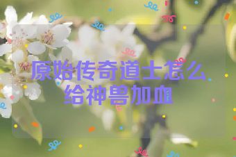 原始传奇道士怎么给神兽加血