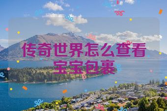 传奇世界怎么查看宝宝包裹
