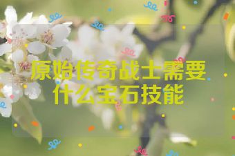 原始传奇战士需要什么宝石技能