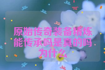 原始传奇装备精炼能传承吗是真的吗为什么