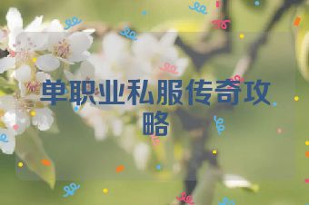 单职业私服传奇攻略