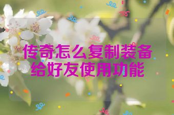 传奇怎么复制装备给好友使用功能