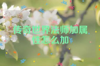 传奇世界法师加属性怎么加