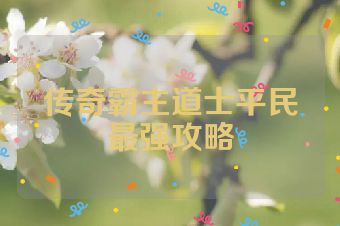 传奇霸主道士平民最强攻略