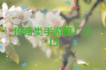 传奇类手游推广入口