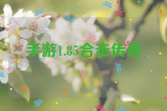 手游1.85合击传奇