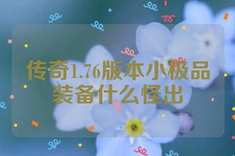 传奇1.76版本小极品装备什么怪出