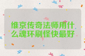 维京传奇法师用什么魂环刷怪快最好