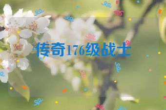 传奇176级战士
