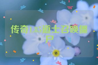 传奇1.85道士召唤僵尸