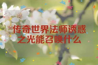 传奇世界法师诱惑之光能召唤什么