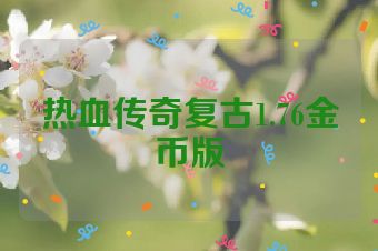 热血传奇复古1.76金币版