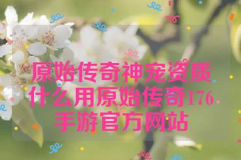 原始传奇神宠资质什么用原始传奇176手游官方网站