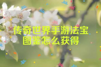 传奇世界手游法宝图鉴怎么获得