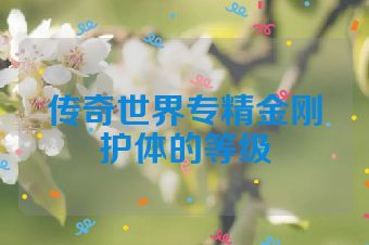 传奇世界专精金刚护体的等级