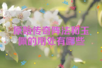 原始传奇阵法和玉佩的用处有哪些