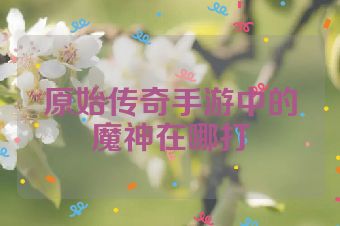 原始传奇手游中的魔神在哪打