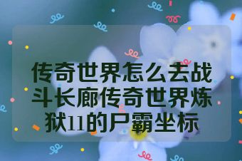 传奇世界怎么去战斗长廊传奇世界炼狱11的尸霸坐标