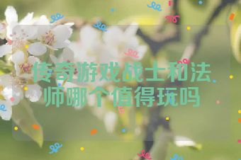 传奇游戏战士和法师哪个值得玩吗