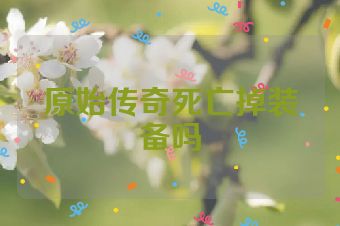 原始传奇死亡掉装备吗