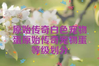 原始传奇白色宠物蛋原始传奇宠物蛋等级划分