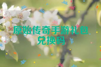 原始传奇手游礼包兑换码