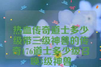 热血传奇道士多少级带三级神兽的传奇176道士多少级召唤3级神兽