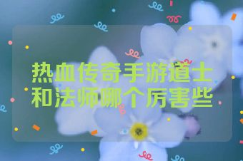 热血传奇手游道士和法师哪个厉害些
