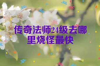 传奇法师24级去哪里烧怪最快