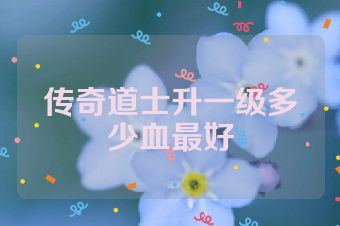 传奇道士升一级多少血最好