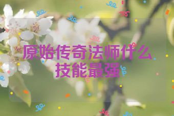 原始传奇法师什么技能最强