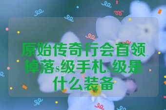 原始传奇行会首领掉落s级手札s级是什么装备