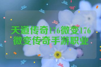 天道传奇176微变176微变传奇手游职业