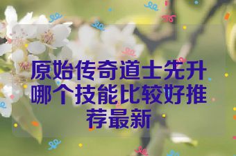 原始传奇道士先升哪个技能比较好推荐最新