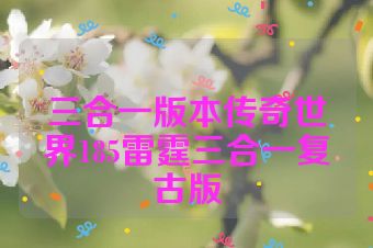三合一版本传奇世界185雷霆三合一复古版