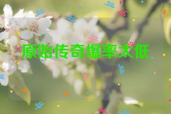 原始传奇爆率太低