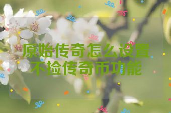 原始传奇怎么设置不捡传奇币功能