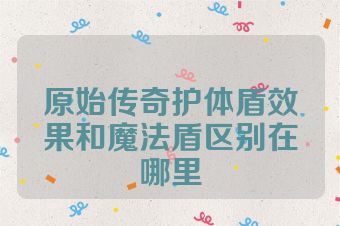 原始传奇护体盾效果和魔法盾区别在哪里