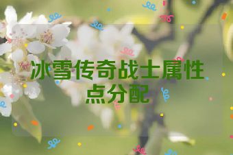 冰雪传奇战士属性点分配