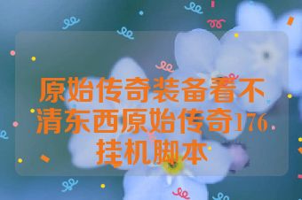 原始传奇装备看不清东西原始传奇176挂机脚本