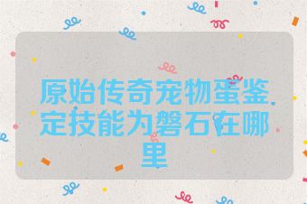 原始传奇宠物蛋鉴定技能为磐石在哪里