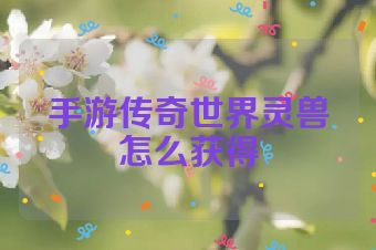 手游传奇世界灵兽怎么获得