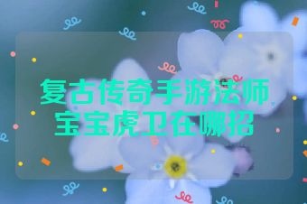 复古传奇手游法师宝宝虎卫在哪招