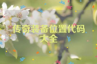 传奇装备位置代码大全