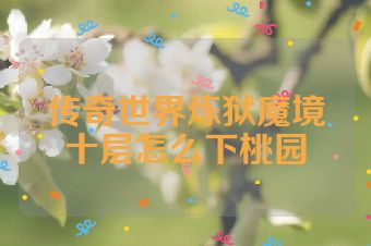 传奇世界炼狱魔境十层怎么下桃园