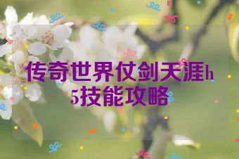传奇世界仗剑天涯h5技能攻略