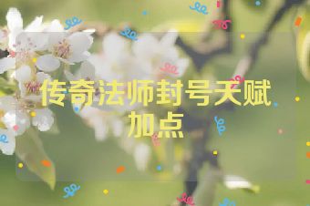 传奇法师封号天赋加点