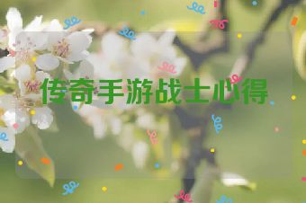 传奇手游战士心得