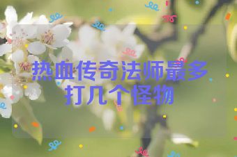 热血传奇法师最多打几个怪物