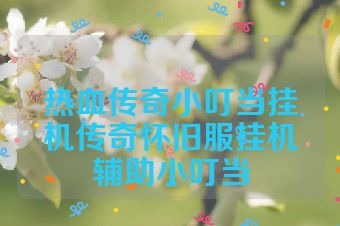 热血传奇小叮当挂机传奇怀旧服挂机辅助小叮当